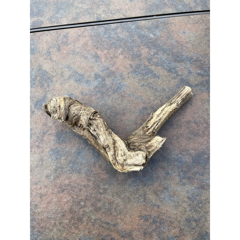 Natural Driftwood for Plants Terrarium Taxidermy Art Projects